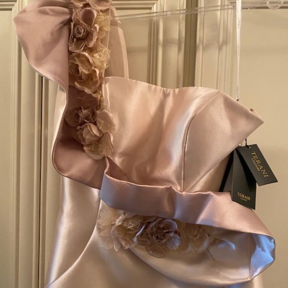 NEW W/TAGS Terani Couture - Champagne One Shoulder Fitted Gown - Picture 5 of 8